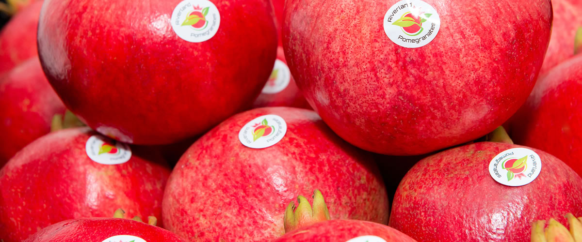 Pomegranates Riverland South Australia